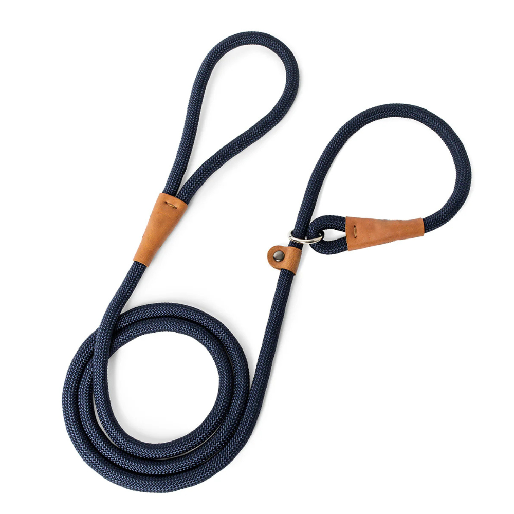 Durable nylon dog leash with metal buckle